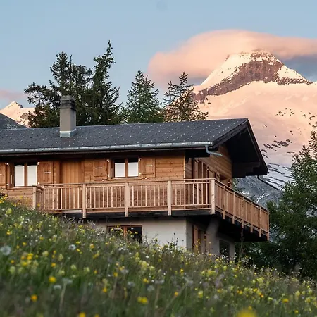 Appartement Labbrunnu Og In Den Walliser Alpen *